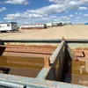 Steel Flock Tank
