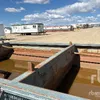 Steel Flock Tank