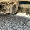 2018 MAN TGX 18.460 4x2 Sleeper Truck Tractor