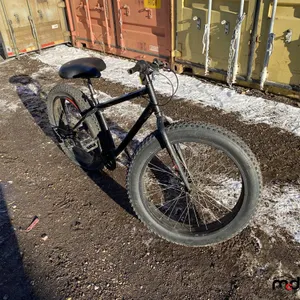 Unknown Fat Tire Bicycle
 UNRESERVED