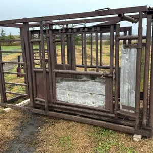 Squeeze chute with auto catch headgate