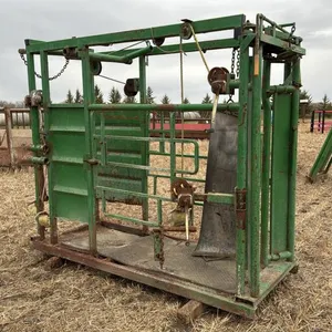 Hoof trimming chute w/ auto catch head gate