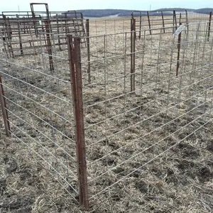 8’x64” Calf pen (B)