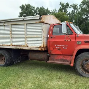 1974,  Chev C60 s/a grain truck, 46,773 showing,   VIN: CCE614V145568, Owner: Lauren J Campbell Seller: Fraser Auction _______________________________