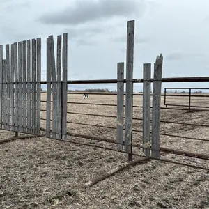 25’ free standing windbreak combo panel  (H)