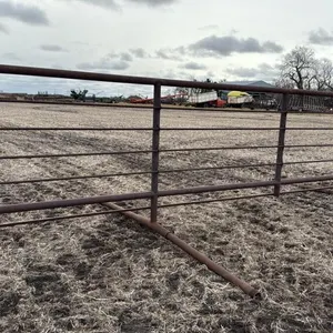25’ free standing windbreak combo panel  (I)