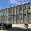 1997 Wilson PSAL-303P livestock trailer