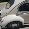 1967 Volkswagen  Bug 