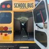 2009 Blue Bird  Vision school bus