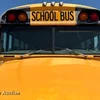 2006 Blue Bird  Vision  school bus