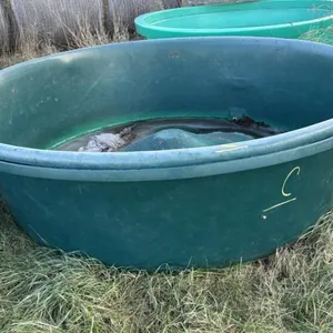 7’ poly stock water trough (C) (dark green)