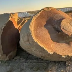 *OFF SITE: Online Timed Auction - APR. 8/26 (Concretion)