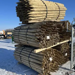 Fence Posts Start @ Lot 590