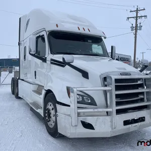 2019 Freightliner Cascadia T/A Sleeper Semi Truck
