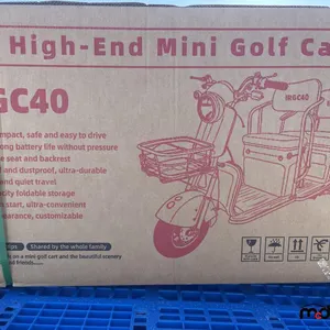 2025 IRGC40 Tricycle électrique (Violet)
 UNRESERVED