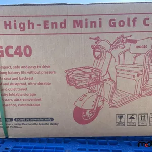 2025 IRGC40 Tricycle électrique (Bleu)
 UNRESERVED