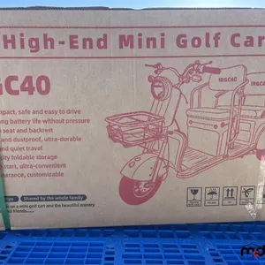 2025 IRGC40 Tricycle électrique (Rouge)
 UNRESERVED