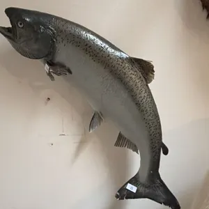 TAXIDERMY SALMON