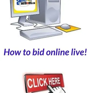 How to bid online live