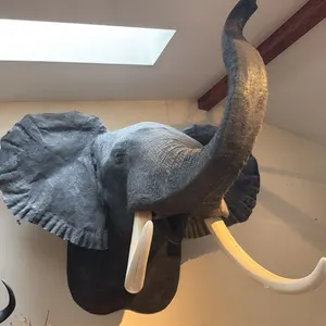 VERY LARGE SHOULDER MOUNT TAXIDERMY ELEPHANT WITH REPRODUCTION TUSKS WITH PAPERWORK
