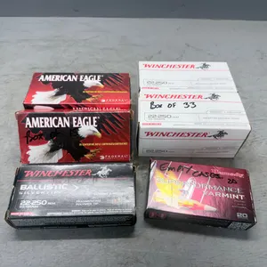 Assorted 22-250 Ammunition