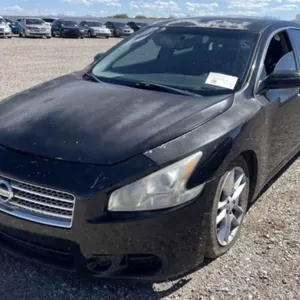 (AZ) 2013 Nissan Maxima
