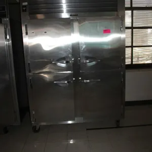 Trauslen Commercial Freezer