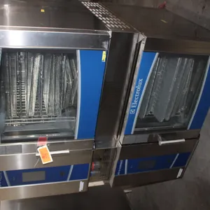 Electrolux Air-O-Convect Touchline Double Convection Oven