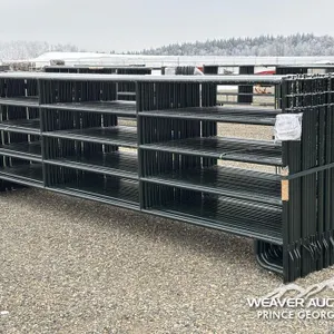 (24) 16 FT. LIVESTOCK PANELS