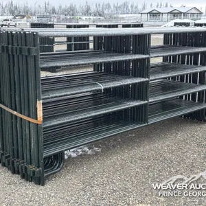 (24) 12 FT. LIVESTOCK PANELS
