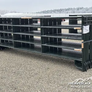 (24) 16 FT. LIVESTOCK PANELS
