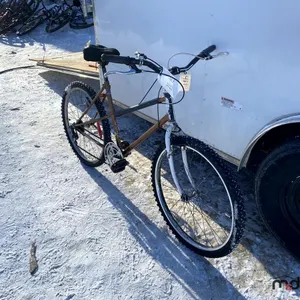 Colnago Bicycle
 UNRESERVED