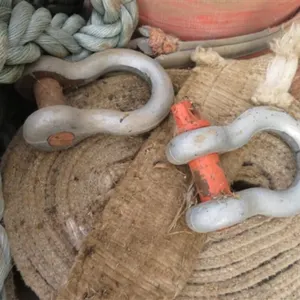 2 Clevis's * Old Tow Strap