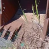 Caterpillar  excavator bucket