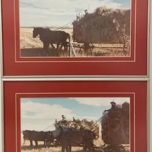 Pair of Framed Pictures of Old Fashioned Farming.