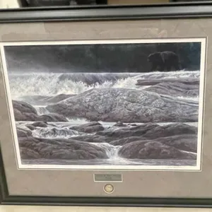Framed signed/numbered (4954/7000) Ducks