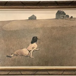 Framed Andrew Wyeth Print on Cardboard.