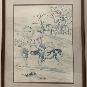 Framed signed/#  (217/495) Print by Bernie Brown.