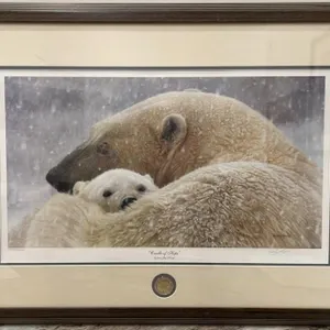 Framed signed/numbered (5942/6000) Ducks