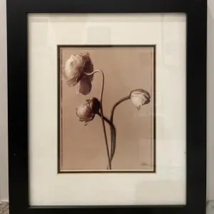 Framed Floral Picture. 12.5" x 15". Donated by