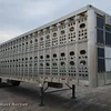 2008 Eby livestock trailer
