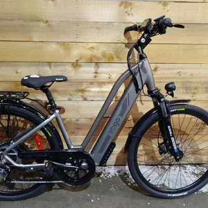 *TESTED WORKING* EBGO CC47 GREY E-BIKE WITH 500 WATT 48V BATTERY & KEYS (NO CHARGER)