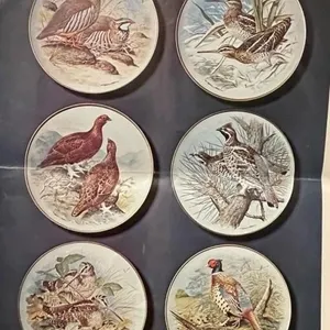 12 Franklin Mint Porcelain Collector Plates - Game