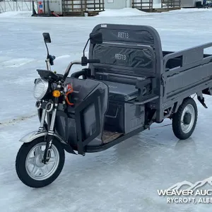 2026 SDLANCH IRET13 ELECTRIC CARGO TRICYCLE