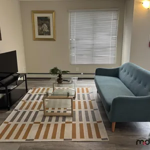 Sofa, Rug & (2) Tables
 UNRESERVED