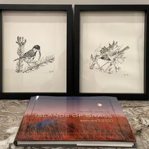 2 Framed Drawings (9" x 11") & Islands Of Grass