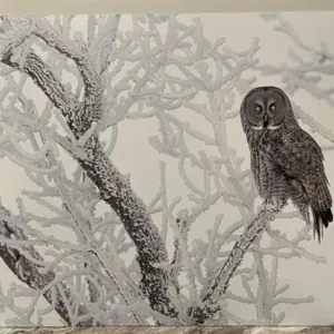 Mounted Photograph 30" x 20"  By Wendy Erickson