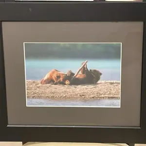 Framed Picture by Jason Bantle Photography. 17"