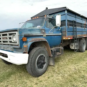 1979 Chev C-70 Tandem Tag Axle Grain Truck; SN.C17DB9V140186
