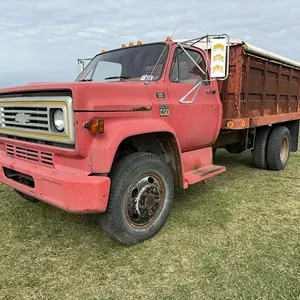 1978 Chev 2 Ton Single Axle Grain Truck; SN.CCE538V164290
